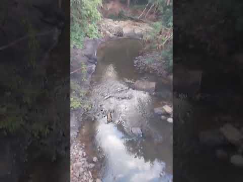 Diviza de guapirama PR e quatigua #caminhoparaumavidamelhor