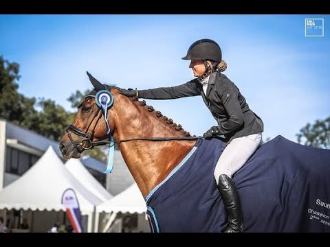 Dior de Grez Neuville, 6 ans, Stage SHF Jeunes Talents 2019