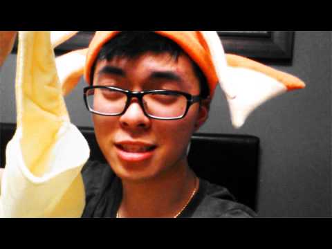 Vlog 16: Anime North 2013