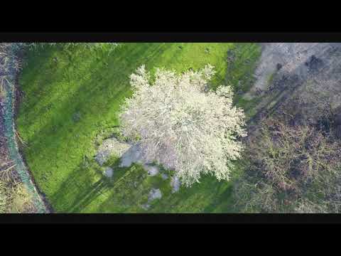 Mazde - NGLYG (Official Visualiser)