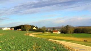 preview picture of video 'Les Chevreuils de Landreville (Ardennes)'