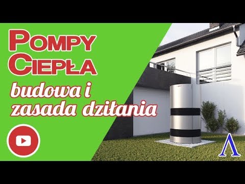 Najmniejszy penisa Małe plamki na głowie penisa