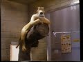 Creature Comforts Klip 2 Med Dansk Tale