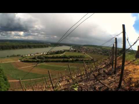 What is the Red Slope or "Roter Hang" in the Rheinhessen?