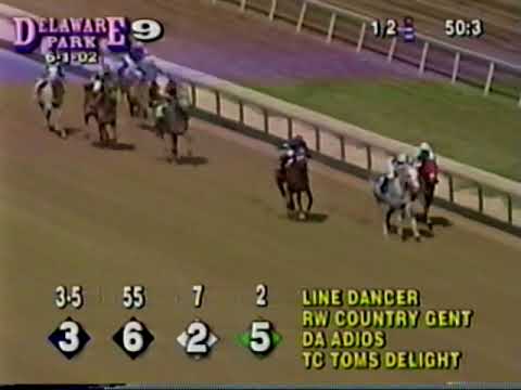 Cre Run Farm - Creating Runners and Champions DA ADIOS