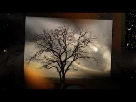 Bebasi Dard Ka Aalam (Baabul)