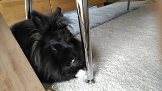 Playing Tic Tac Toe with Rikka