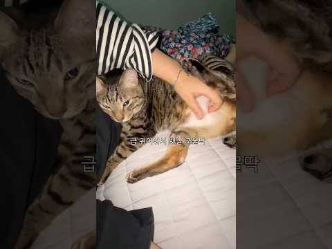 한쪽 다리만 열나고 저리는 이유