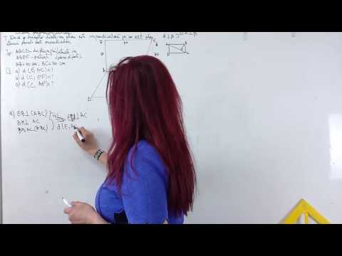 26 Rodica Pop   Geometrie   Plane perpendiculare