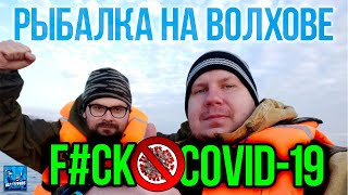 Какая рыбалка на волхове 2020