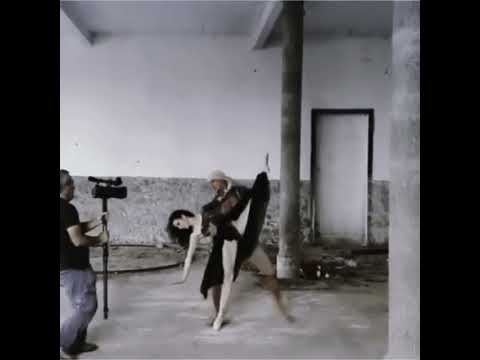 ¡El nuevo! ¿Aceptas el mundo?¿Cómo admites el desorden?el sagrado silencio y el sueño.