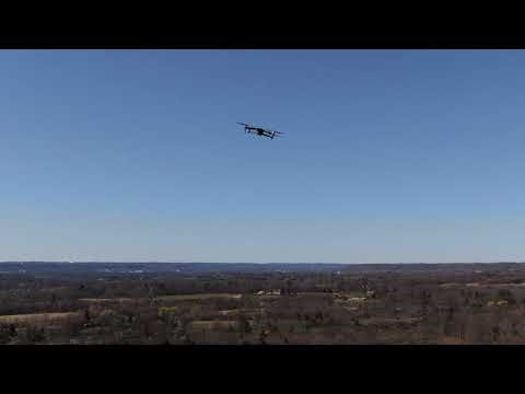 Guerin Drone Dog Fight