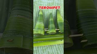 Download lagu TEROMPET sebelum Jaman Android.‼️dari daun Kelapa.😁 #bolang #petualangan #nostalgia #survival mp3