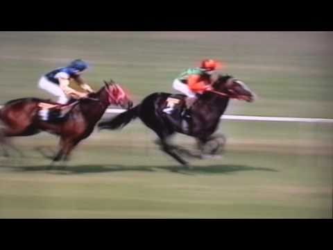 Nagroda Próbna - 5.07.2003 - Tornado Plus (Special Power - Toma Plus)