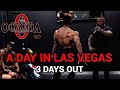 3 DAYS OUT OLYMPIA VLOG | GROCERY SHOPPING | PHYSIQUE