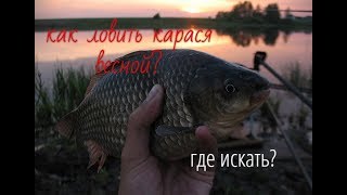 Когда нерест у карася весной на поплавочную удочку
