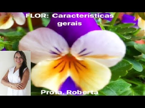 A flor. Características básicas. Botânica Fácil.