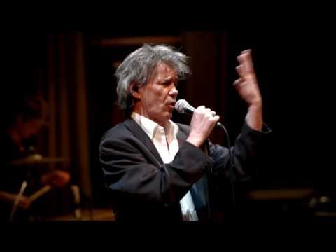 FiDO Live at Gare du Nord - Camarillo Brillo