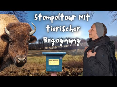 23 Km-Runde zur Harzer Wandernadel ~ HWN 201 ~ 202 ~ 205 ~ 86