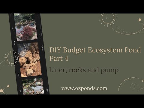 Diy Budget ecosystem pond part 4- Adding the liner, rocks and pump.