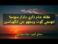 One Of The Mesmerizing Songs Of Recent Times Kalh Sham Dhare Dildar Munhja