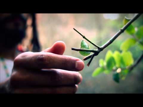 LION NATIVO - VIVO RESPIRANDO (Videoclip Oficial)