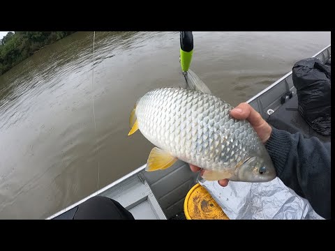 Pesca de dorado em são Mateus do Sul.saiu peixe erado 🤣⛈️⛈️⛈️