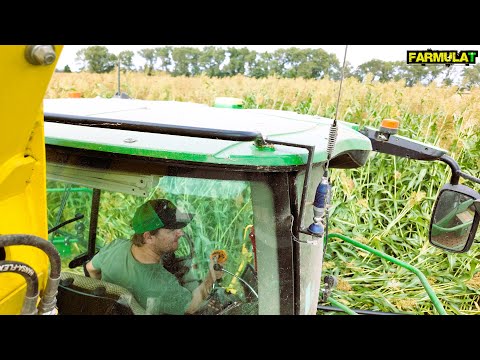 Maisernte mit John Deere 9500i & Köhl Harvest #FormulaT