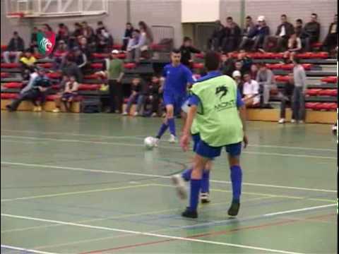 Tigers Roermond 2010 samenvatting 5