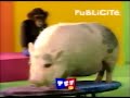 TF Jeunesse TFOU Jingles Pub 1997 1999