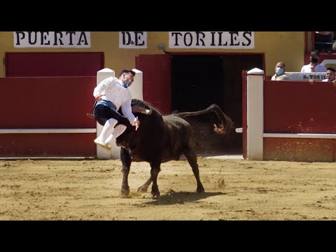 ✅ SOLO SALTOS a TOROS BRAVOS 2021