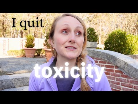 Why I quit my high-paying job - 1 year later