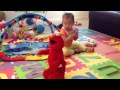 I Am Not Scare Of You Elmo