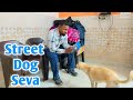 Bacho Ki Seva L Street Dog Love