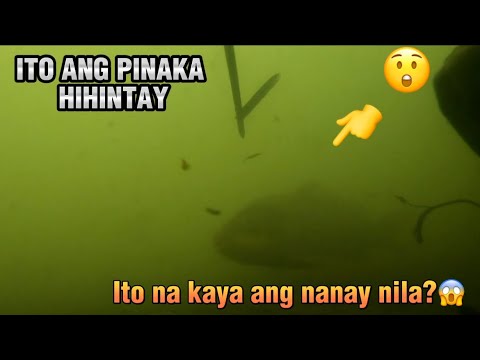NAGPARAMDAM NANAMAN MGA KARPA.|ang pag aabang sa mga karpa, Catch and Cook|.