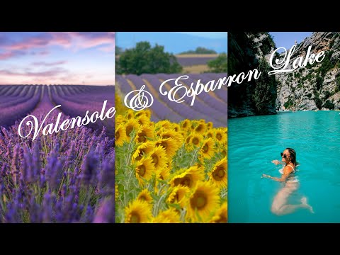Valensole champs de lavande / Esparron De Verdon / Beauty of Provence