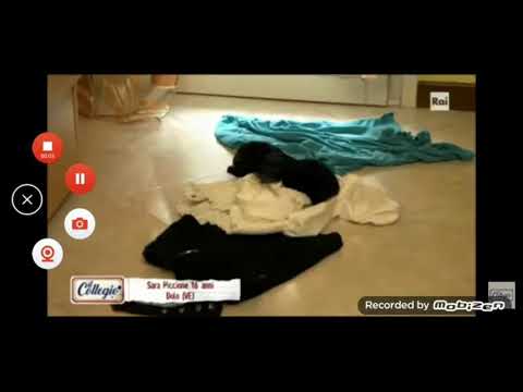 EVOLUZIONE DI SARA PICCIONE