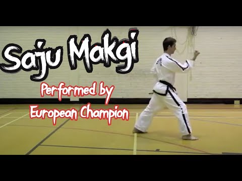 Saju Makgi ITF Taekwon-Do