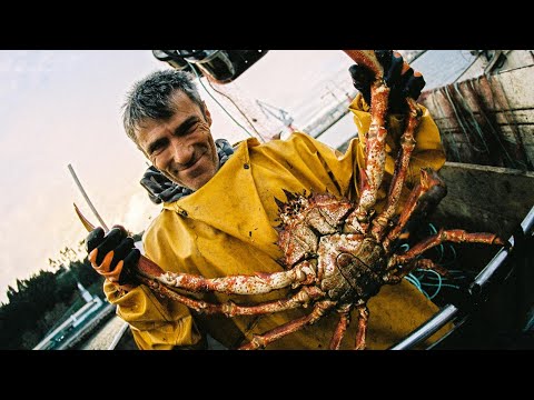 Barquito de Vela (con Antony Z)