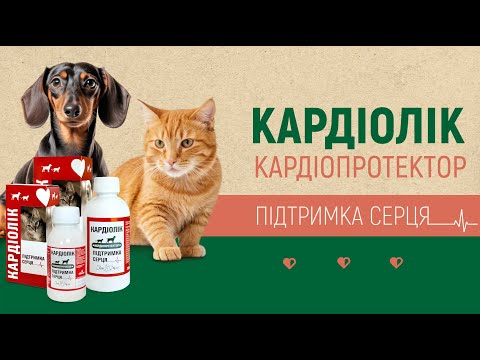 Відео превʼю