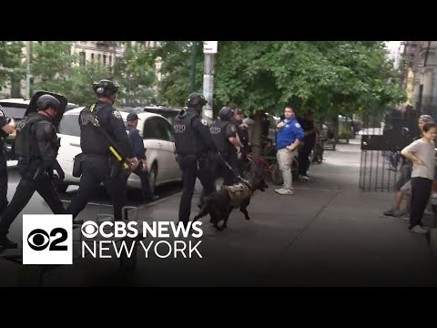 Harlem Stabbing