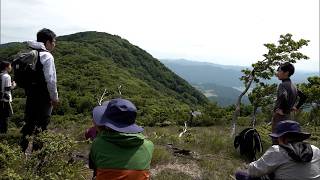 5月27日【びわ湖放送ニュース】高島市　三十三間山で生き物観察会