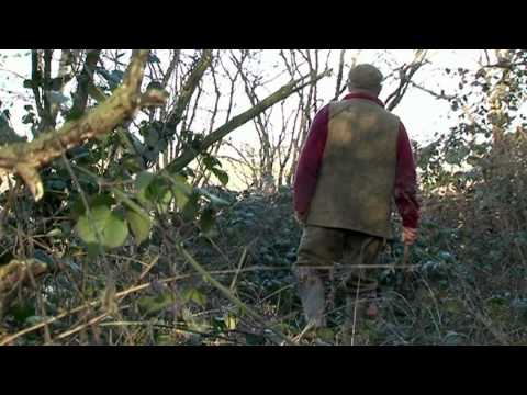 The Driven Pheasant Shoot - an introduction