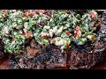 Iberico Pork Flank Steak w/ Pecan-Herb Sauce