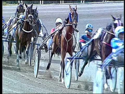 Trotto 17/04/2016 - 3° Corsa