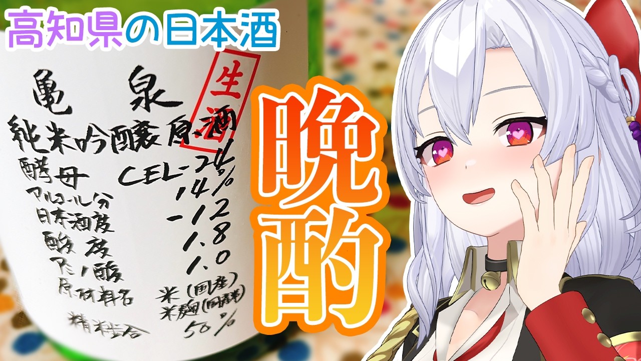 【晩酌】高知県のお酒『亀泉』で晩酌する夜