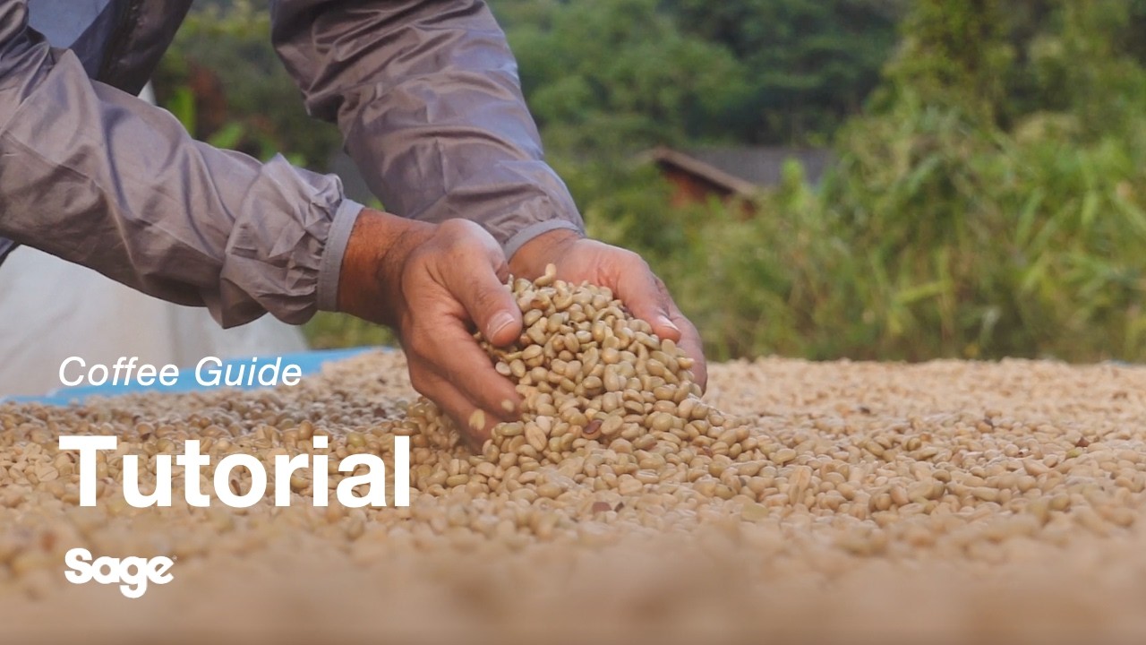 Breville coffee guide tutorial - Choosing the right beans