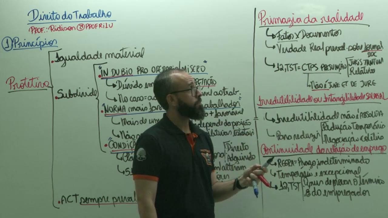 TRT14 - Direito do Trabalho - Princípios - parte 1 - Ridison Lucas @ridisonlucasprofrilu206