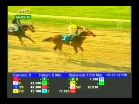 Resumen Viernes, 06 de Mayo de 2016 -  Valencia