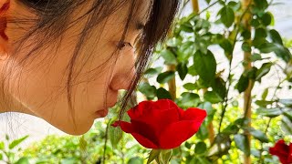 #歐的露台花園 #20250317寒流報到